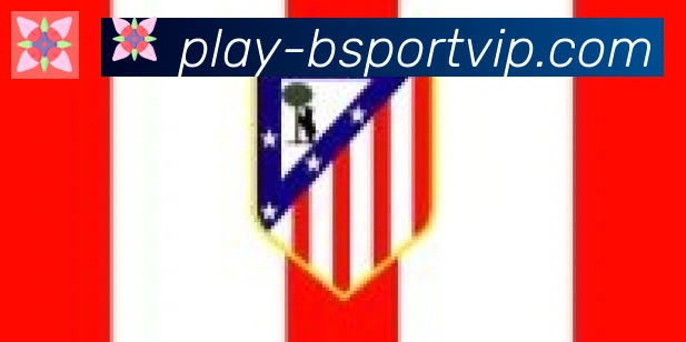 Bsports官网合作伙伴